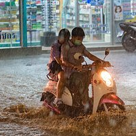 雨巷少年之桃